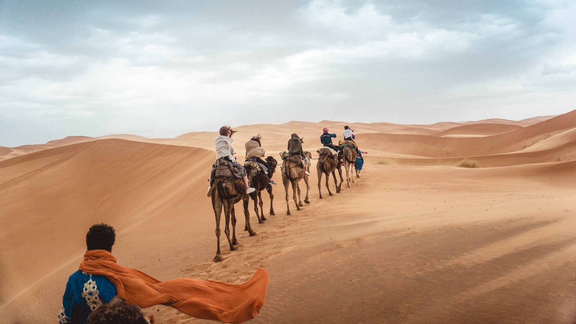 Marrakech Camel Ride